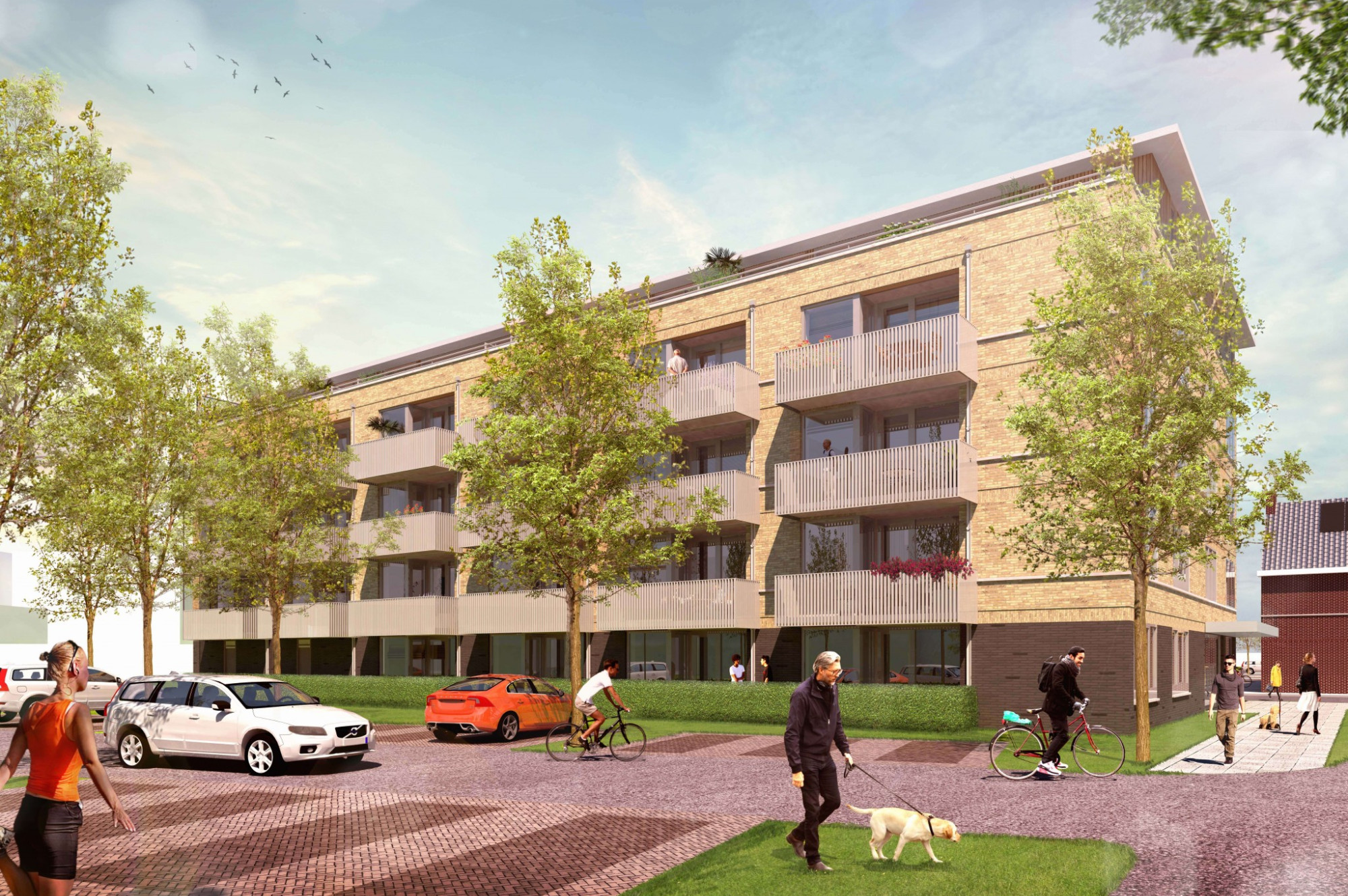 haag5[fase3]2